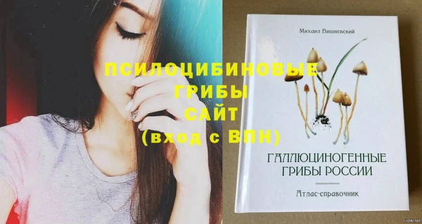 mix Алексеевка