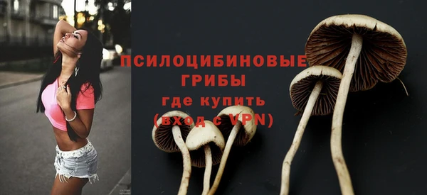 mix Алексеевка